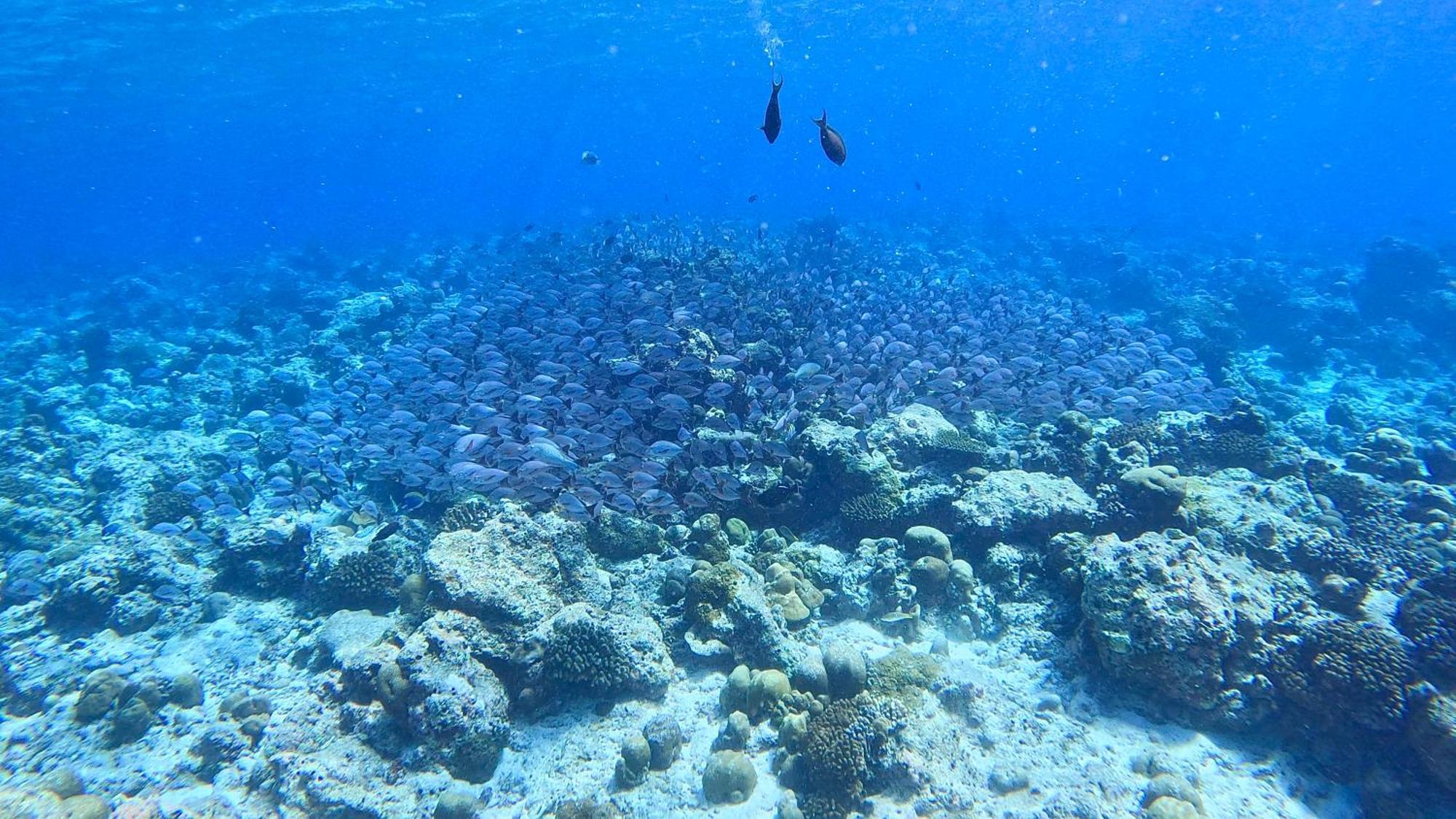Konut By Thakuru Ξενοδοχείο Guraidhoo  Εξωτερικό φωτογραφία
