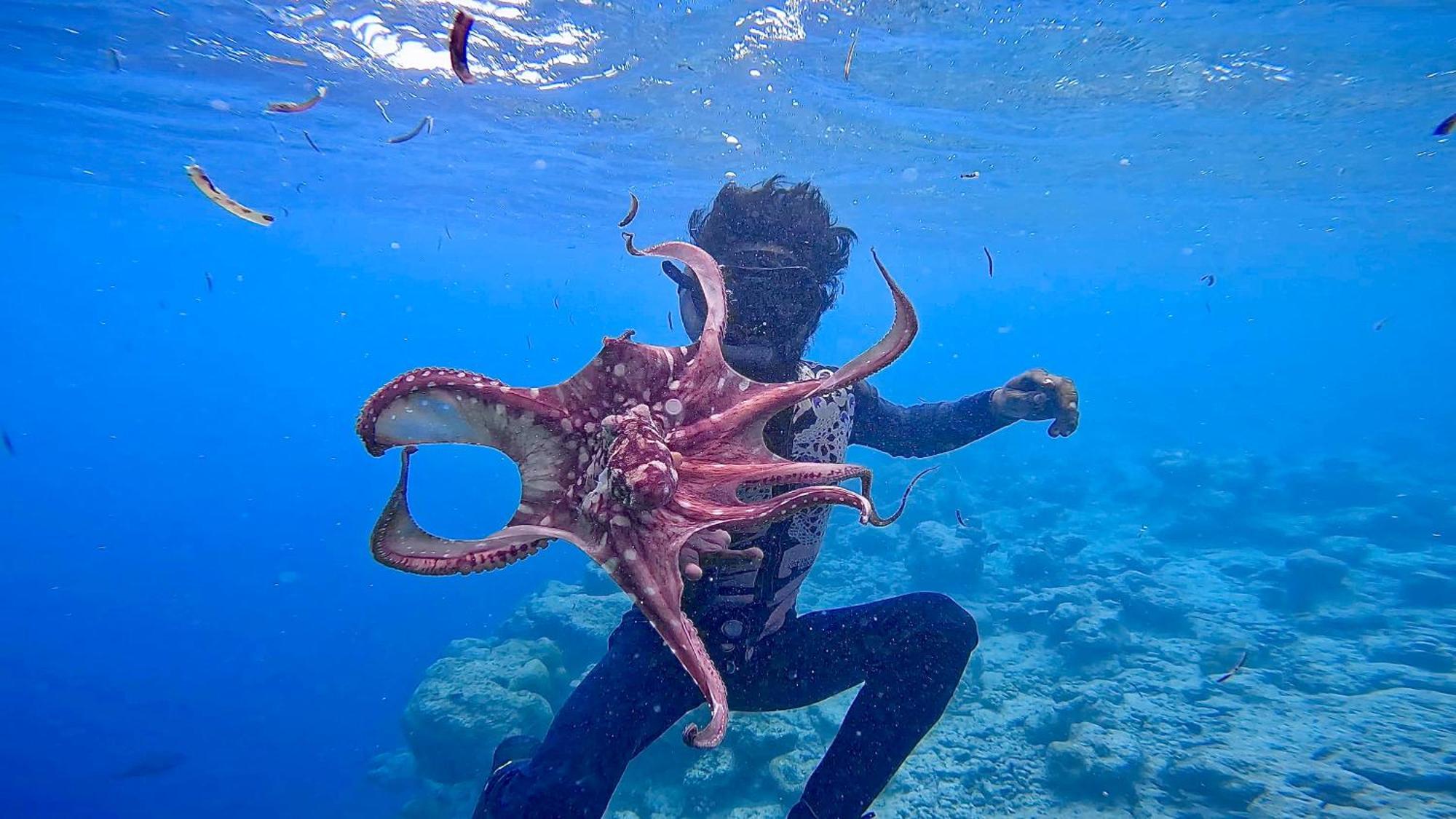 Konut By Thakuru Ξενοδοχείο Guraidhoo  Εξωτερικό φωτογραφία
