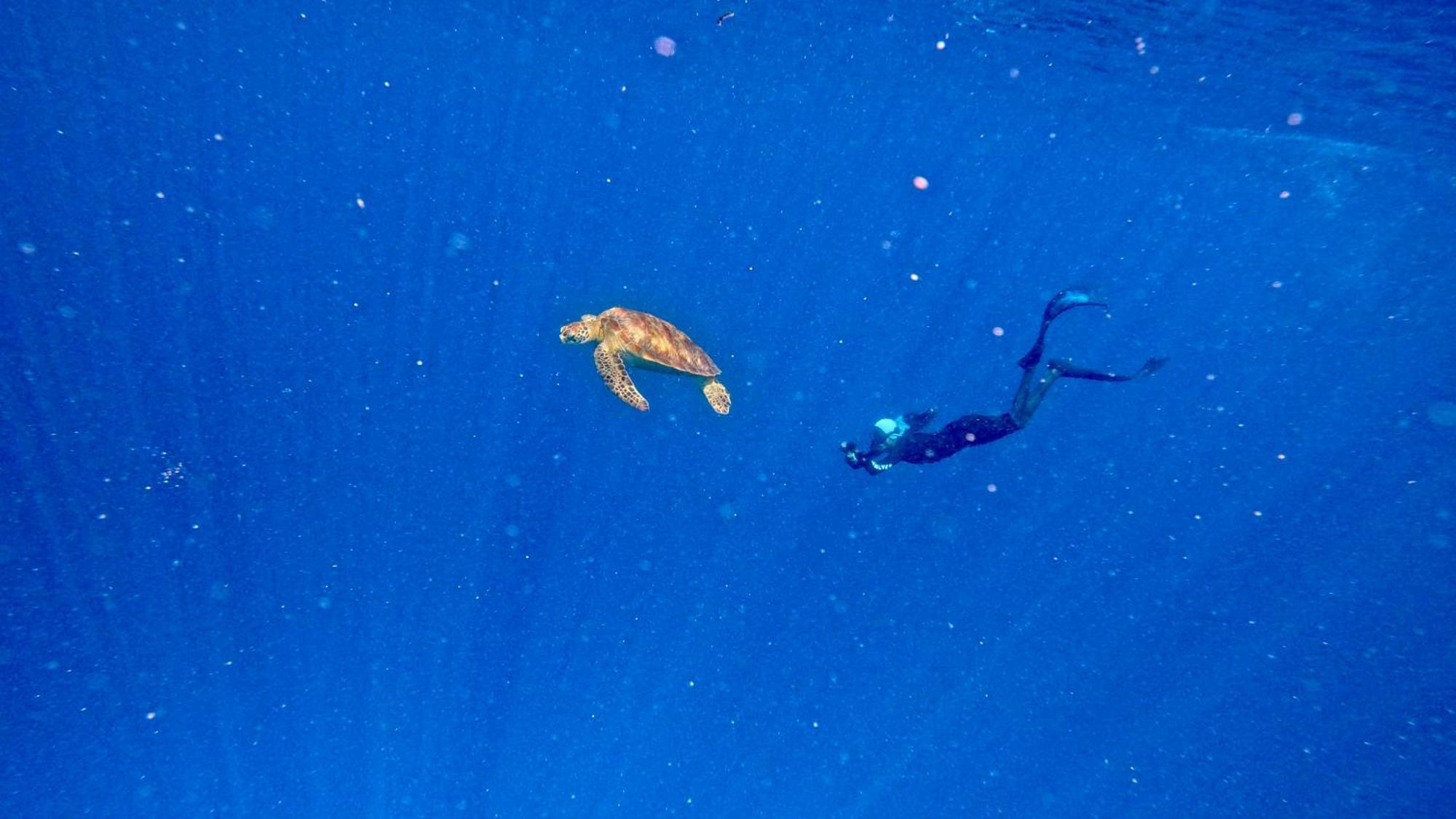 Konut By Thakuru Ξενοδοχείο Guraidhoo  Εξωτερικό φωτογραφία