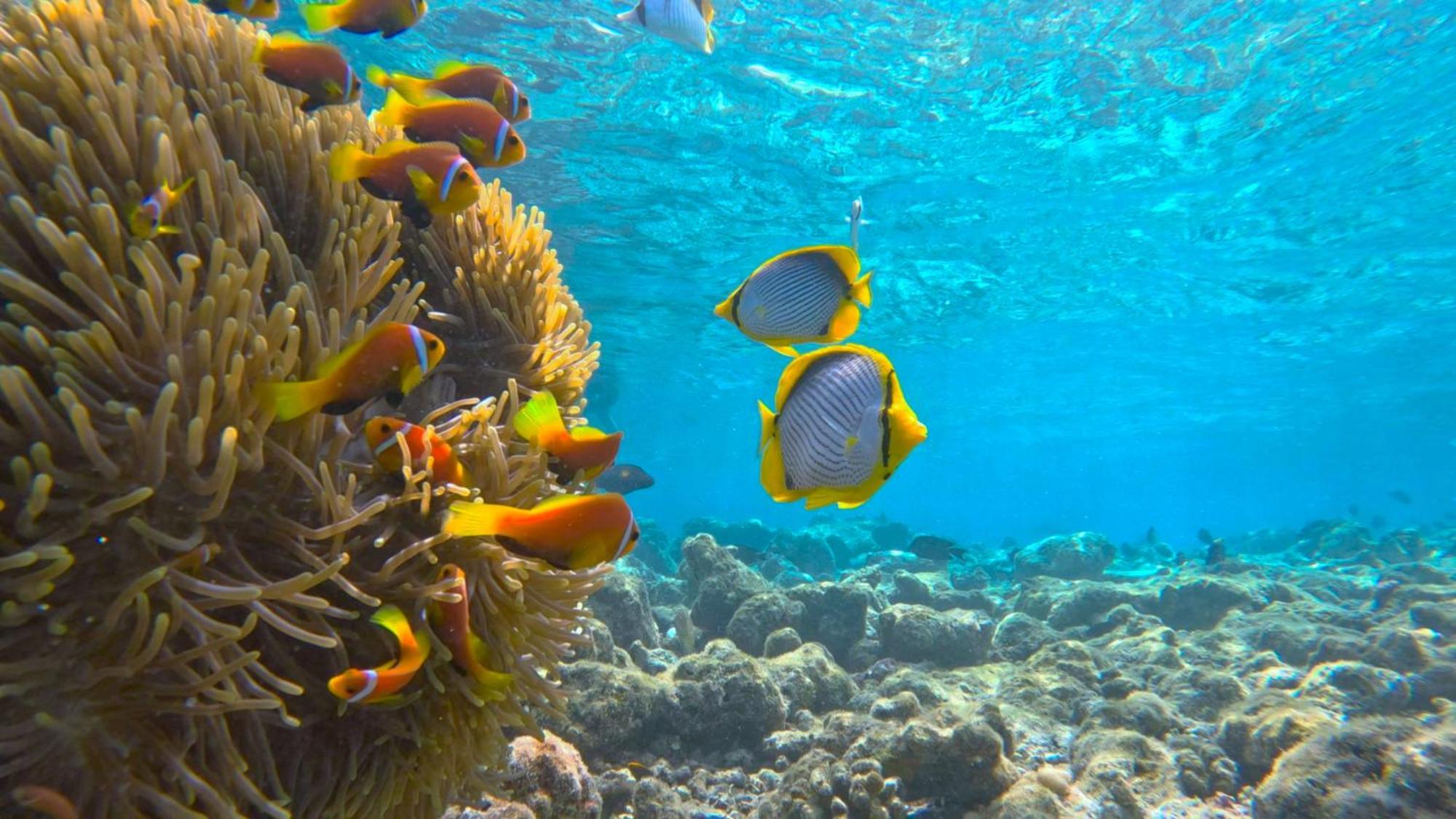 Konut By Thakuru Ξενοδοχείο Guraidhoo  Εξωτερικό φωτογραφία
