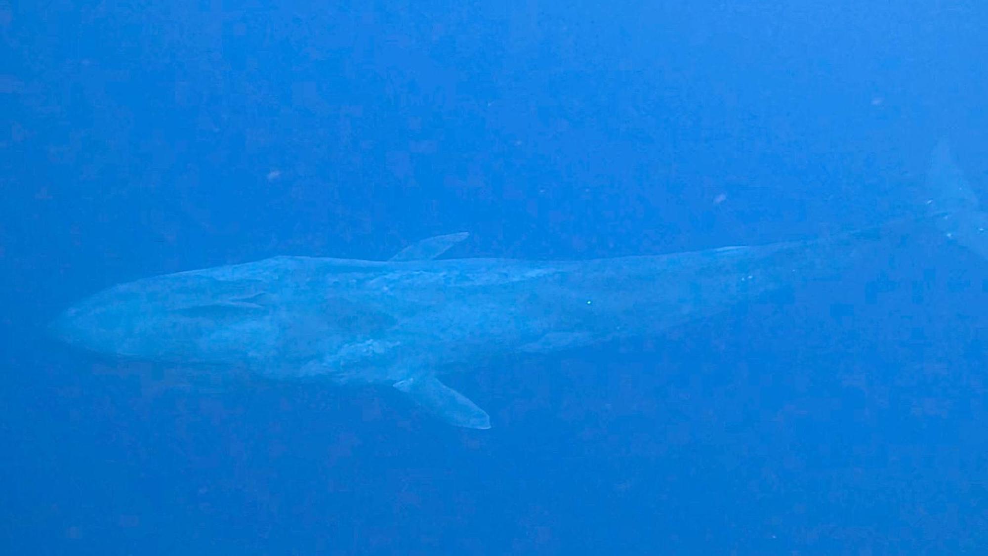Konut By Thakuru Ξενοδοχείο Guraidhoo  Εξωτερικό φωτογραφία