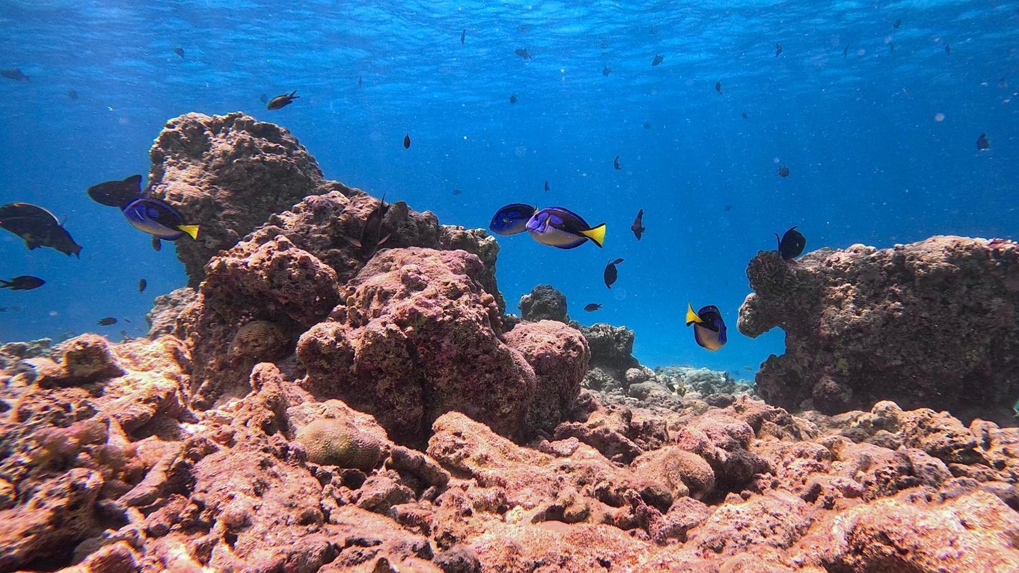 Konut By Thakuru Ξενοδοχείο Guraidhoo  Εξωτερικό φωτογραφία
